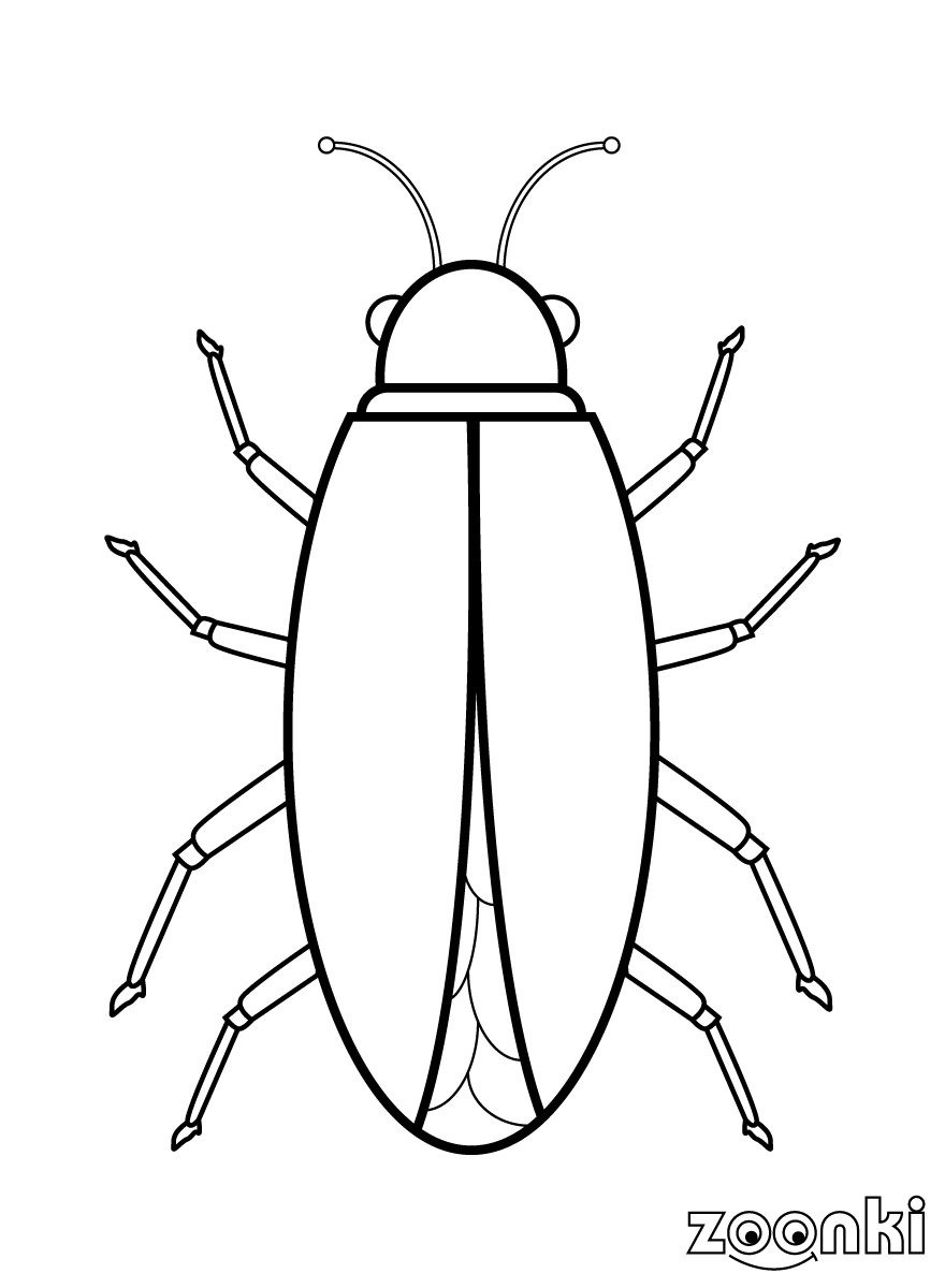 zoonki insect 001 coloring pages
