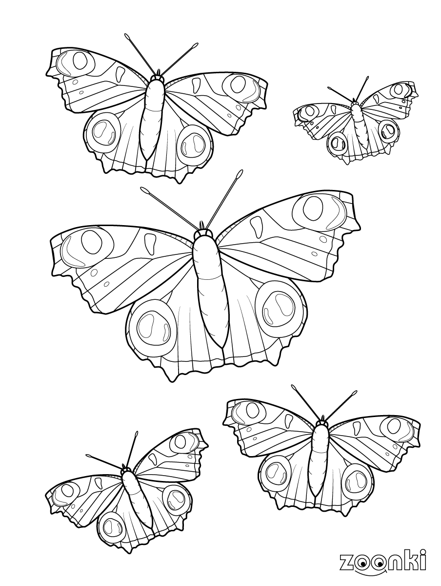 Four black & white peacock butterflies for coloring