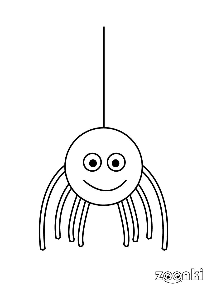 zoonki black & white spider for coloring