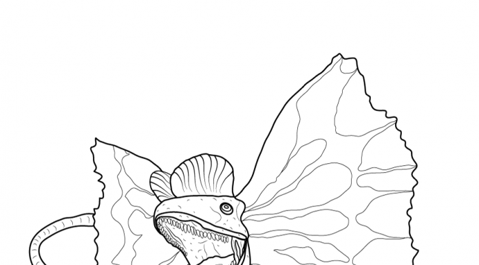 Free colouring pages - dilophosaurus dinosaur - zoonki.com
