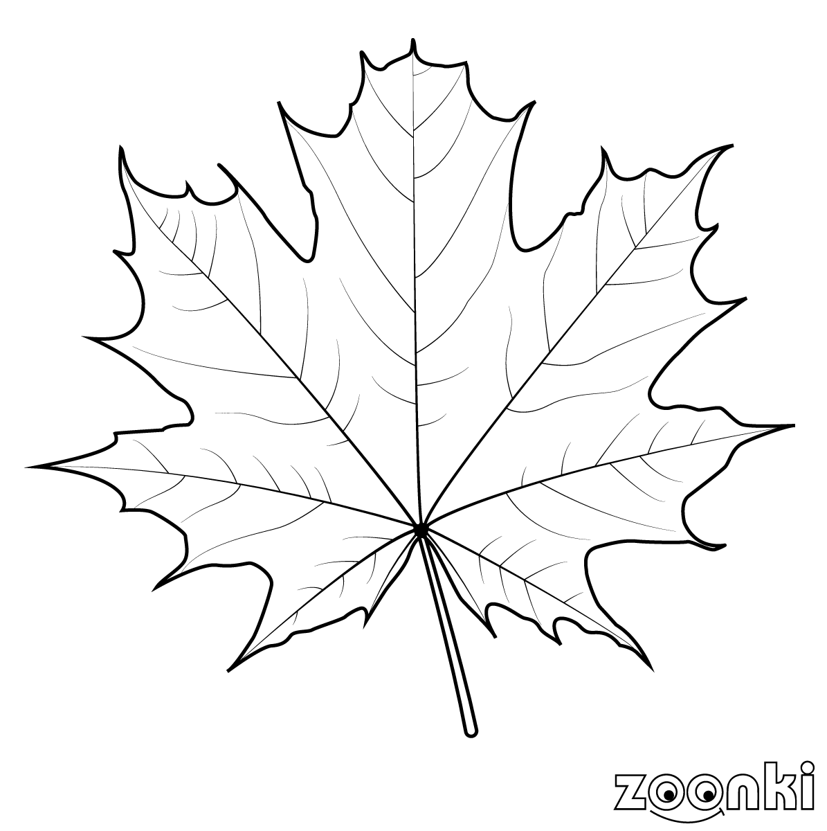 zoonki black & white clone leaf - coloring pages