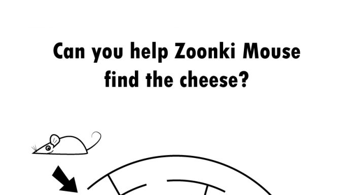 Find the cheese - labyrinth puzzle - zoonki.com