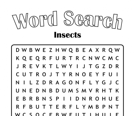 Word search - insects - educational puzzle for kids - zoonki.com