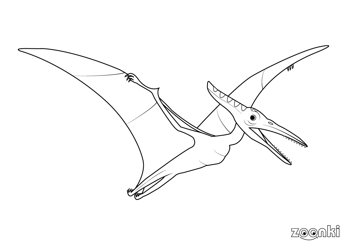 Free coloring pages - dinosaur pterodactyl - zoonki.com
