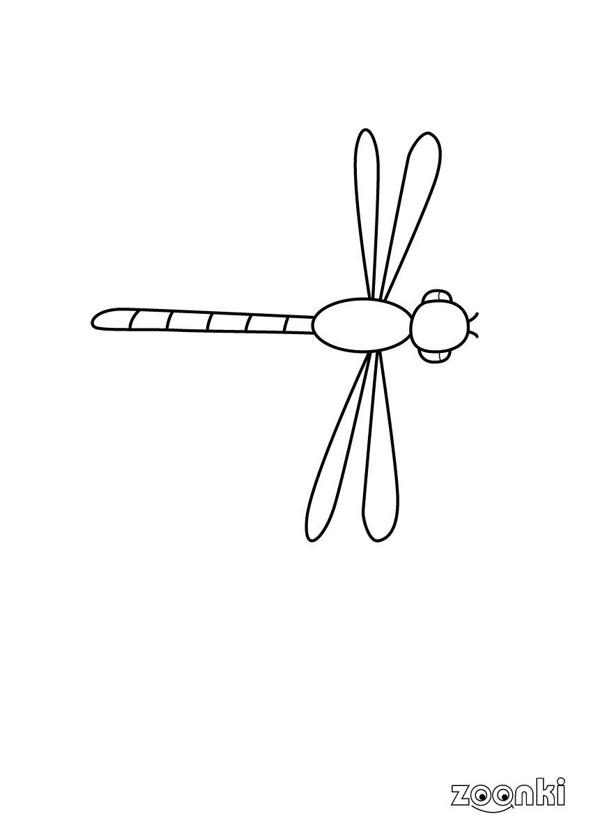 Free colouring pages - dragonfly, insect - zoonki.com