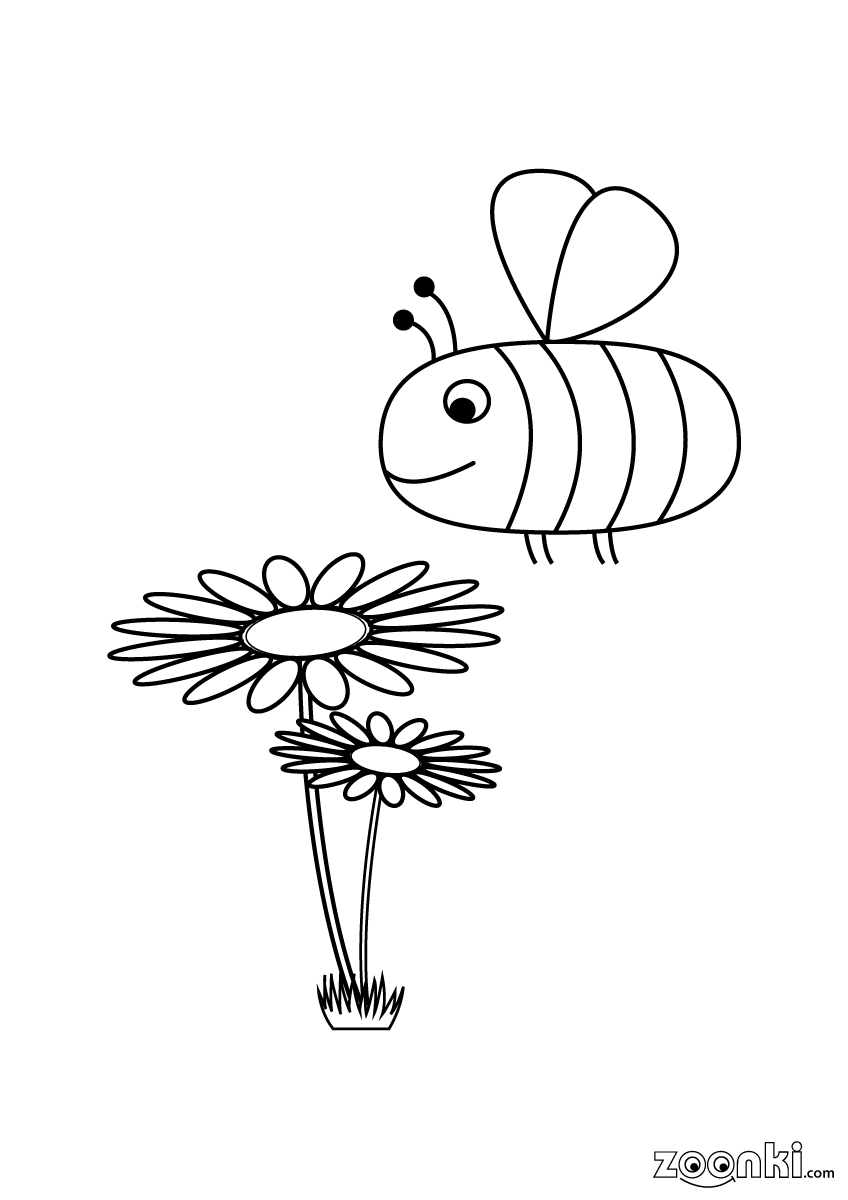 Free colouring pages - bee with flowers - zoonki.com
