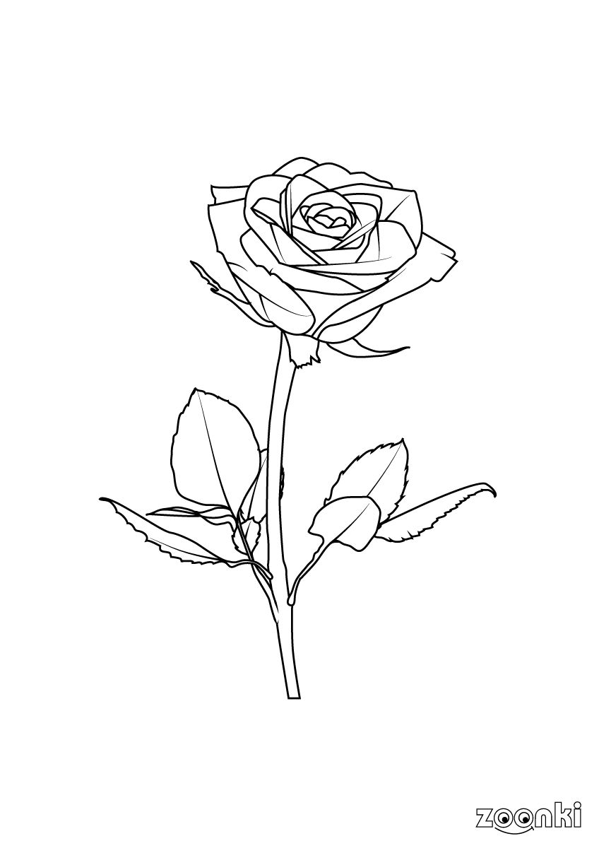 Free colouring pages - rose flower - zoonki.com