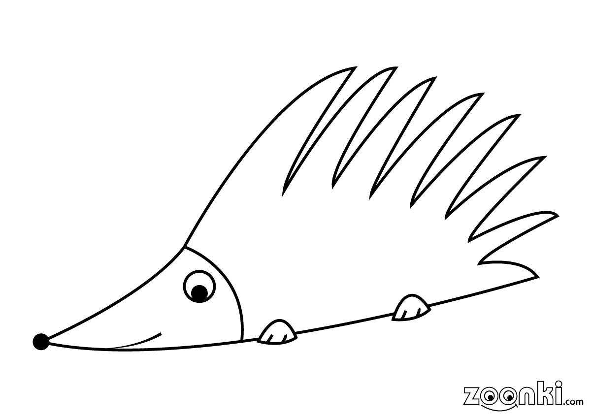 Free colouring pages - hedgehog 001 - zoonki.com