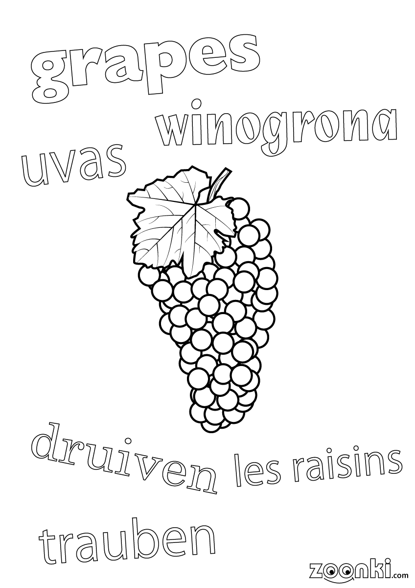 Colouring pages - drawing of grapes with multilingual names | zoonki.com