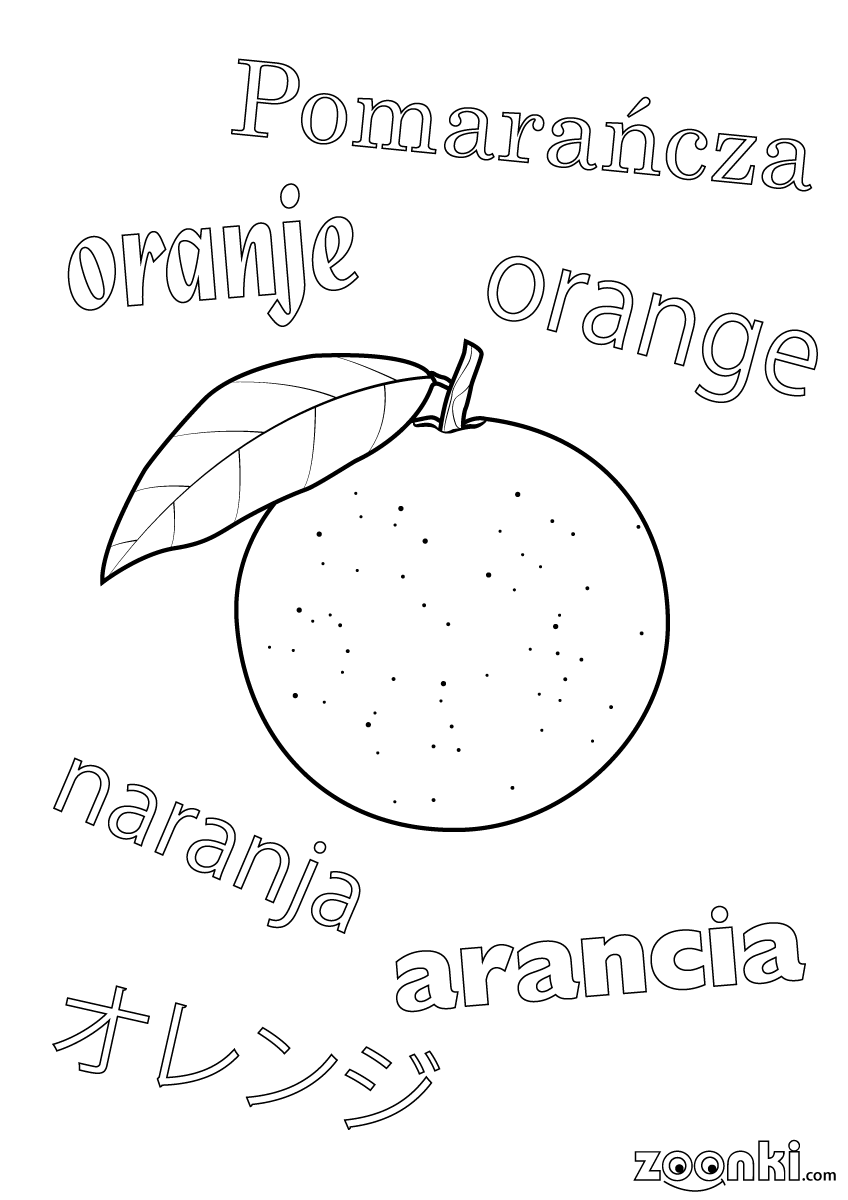 Colouring pages - drawing of an orange with multilingual names | zoonki.com