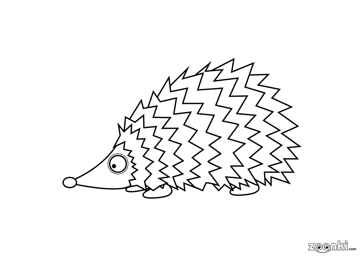 Colouring pages - hedgehog, mammal | zoonki.com