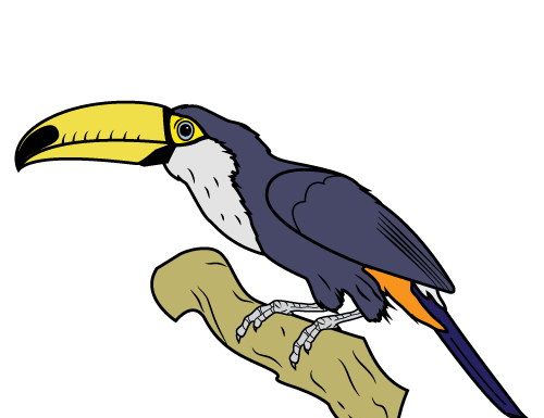 zoonki-tucan_featured