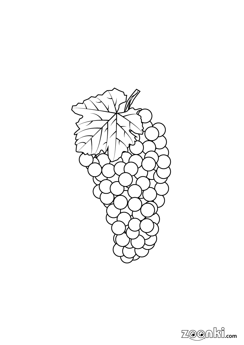 Colouring pages - drawing of grapes for colouring | zoonki.com