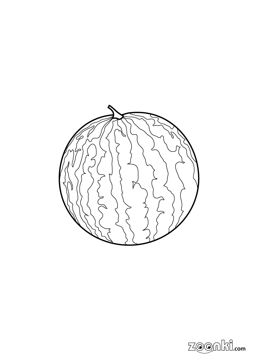 Colouring pages - drawing of a watermelon for colouring | zoonki.com