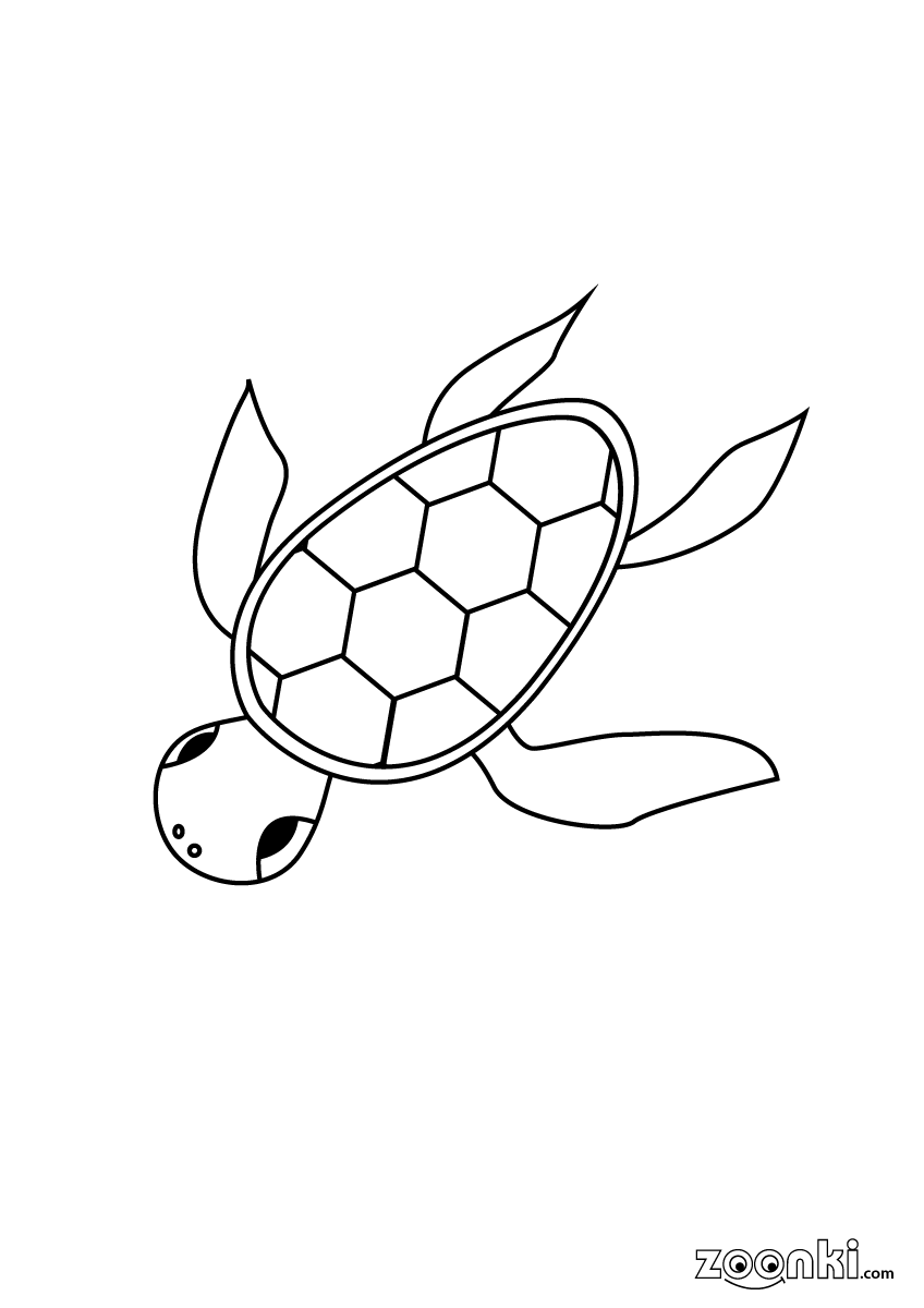 Free colouring pages - swimming water turtle | zoonki.com